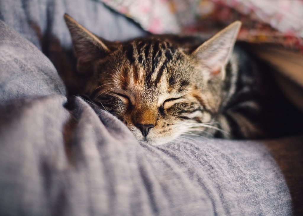 Why deep sleep is important 5 Deep sleep is important